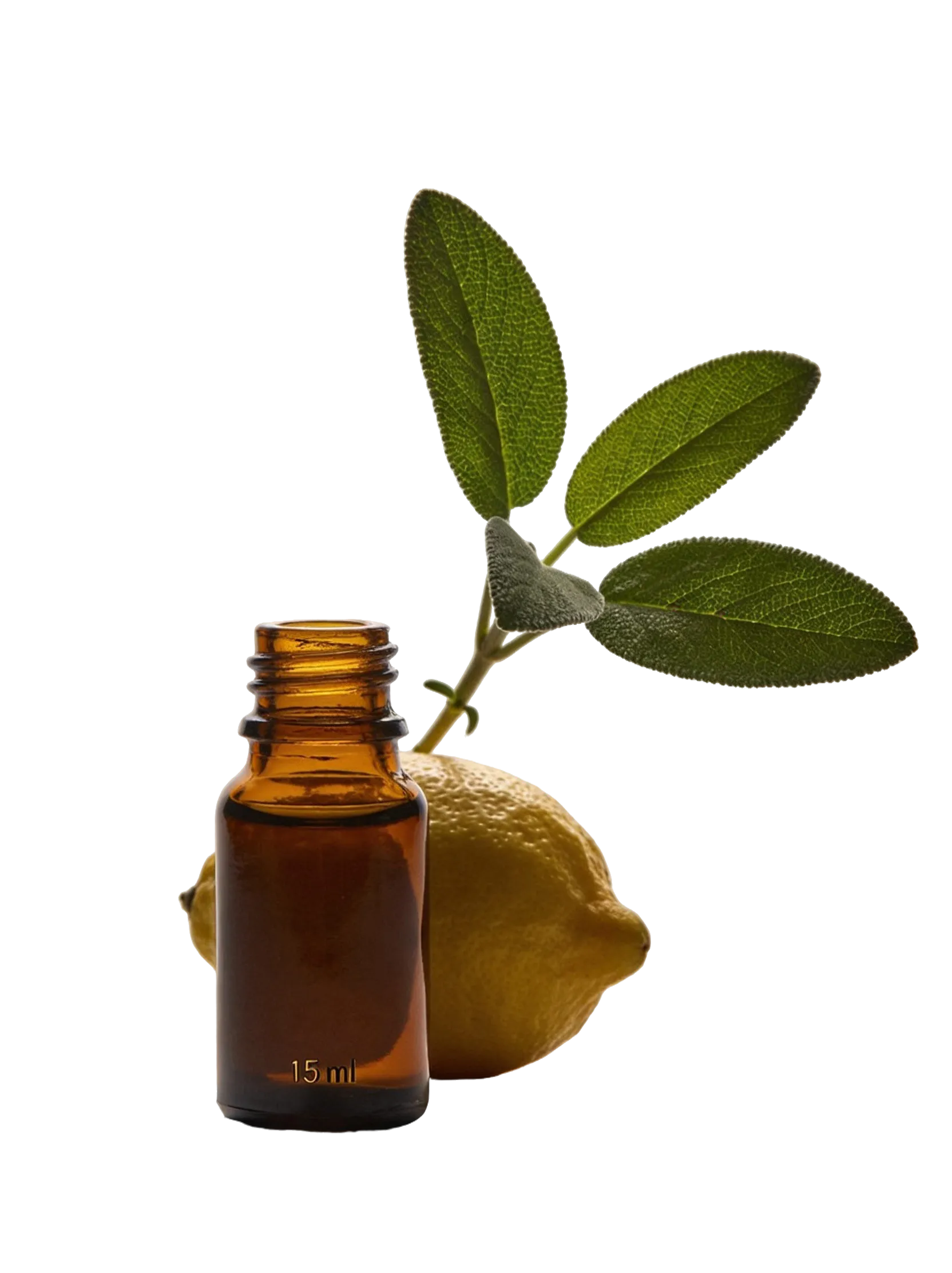 Magnific premium product stilllife