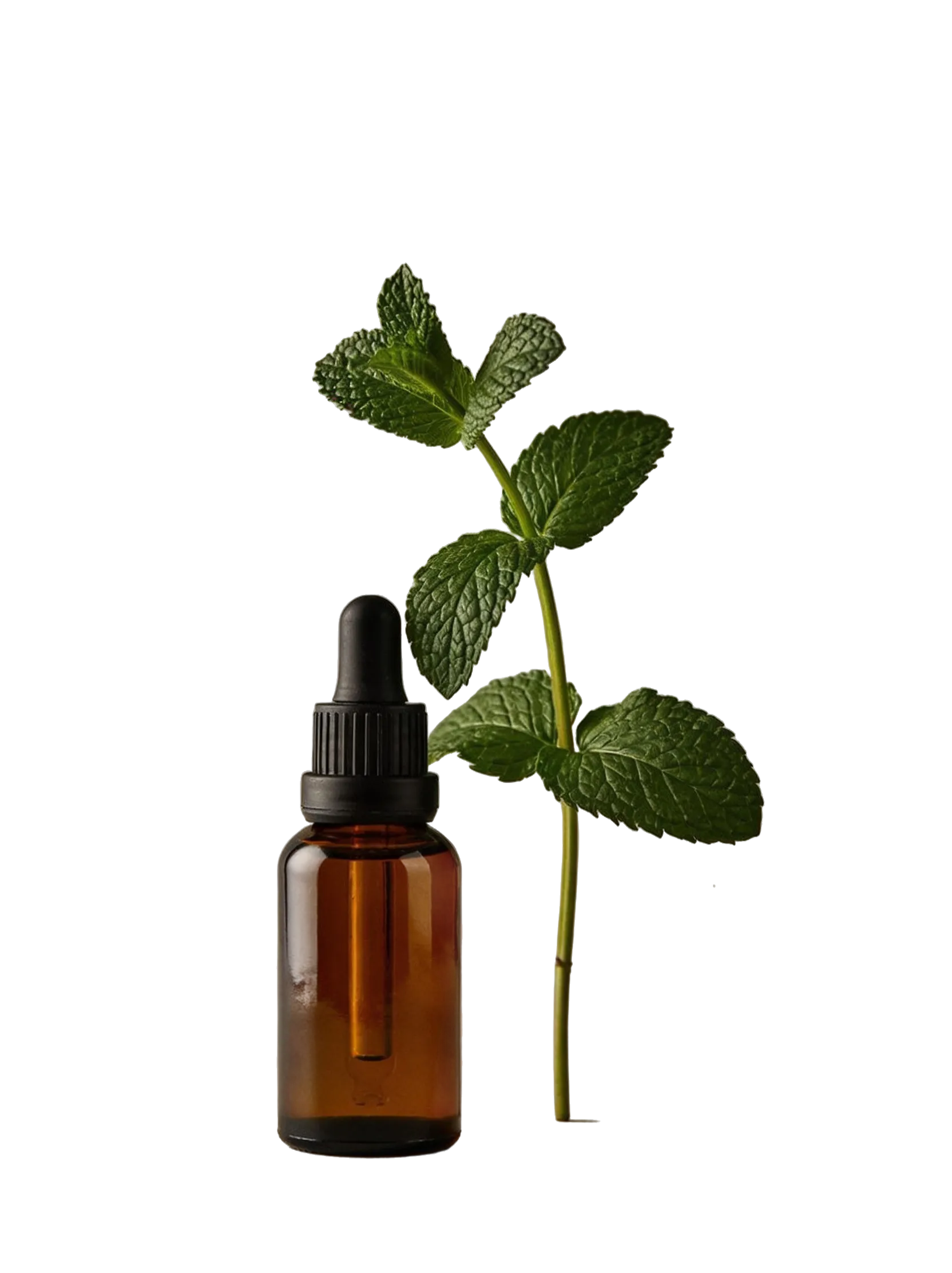 Magnific premium product stilllife