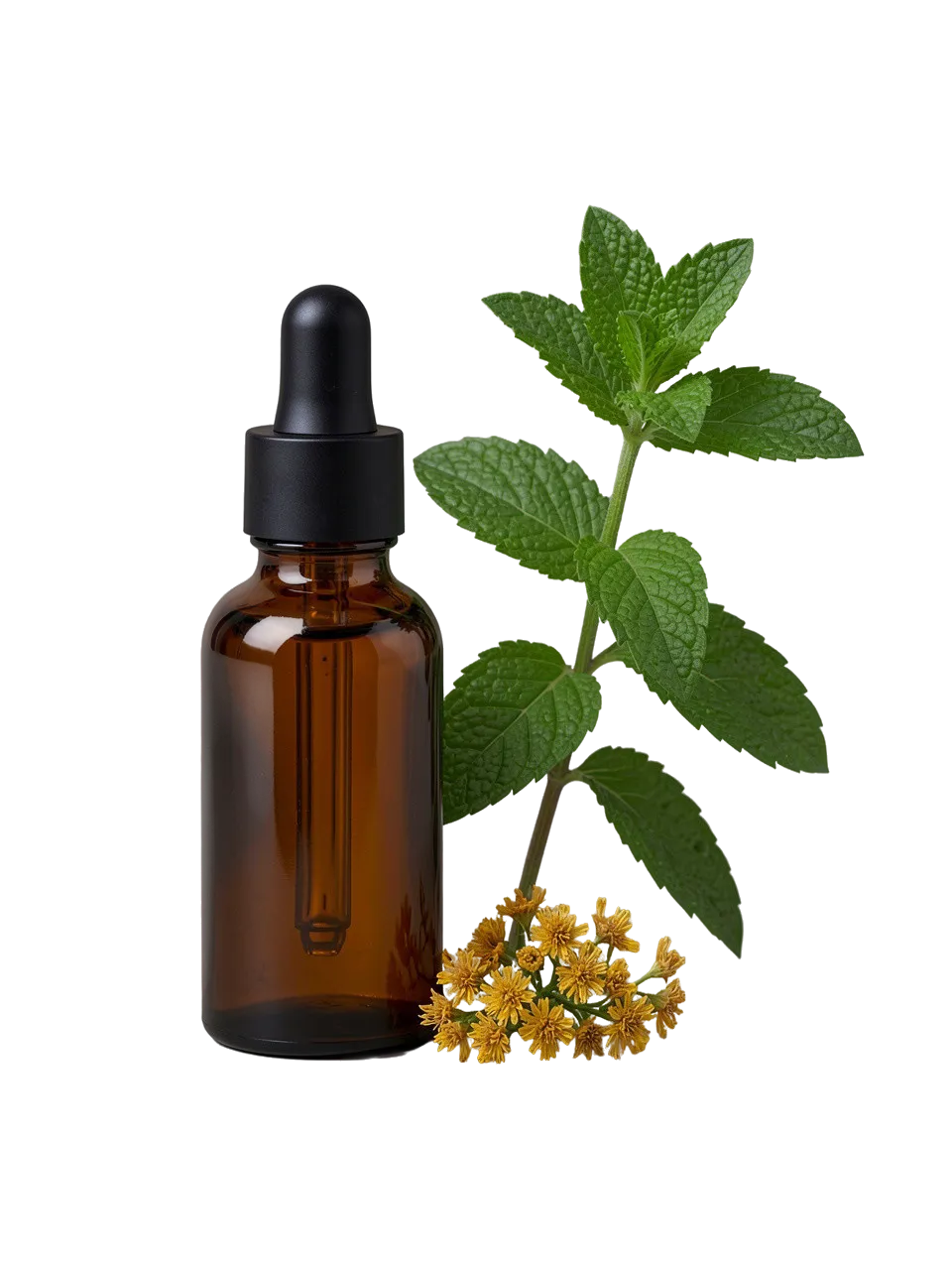 Magnific premium product stilllife